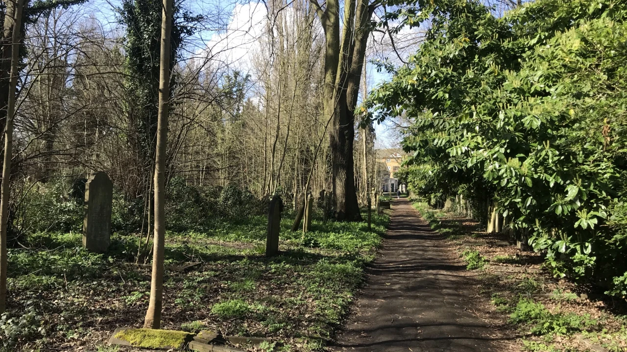 Brockley _ Ladywell Cemetery